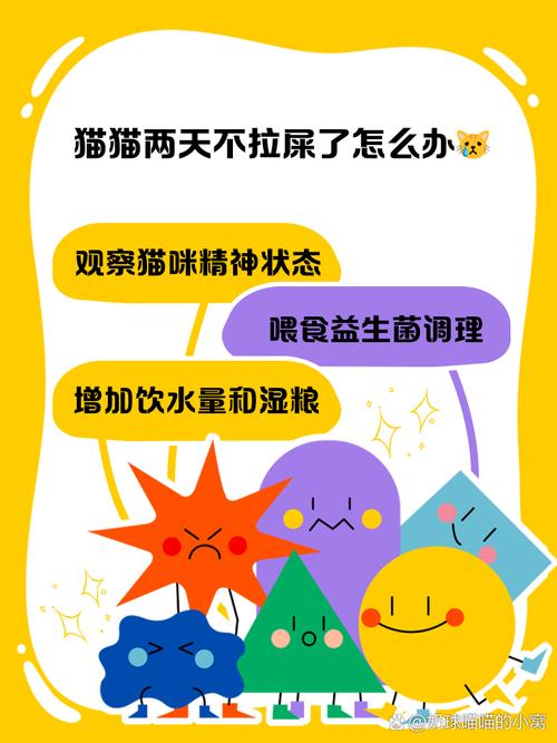 猫咪两天没拉屎怎么办