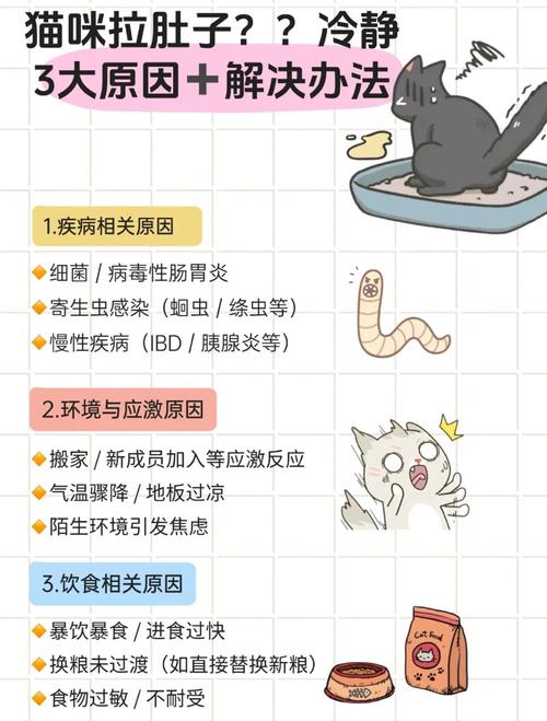 猫咪拉肚子怎么办,猫咪拉肚子的解决办法