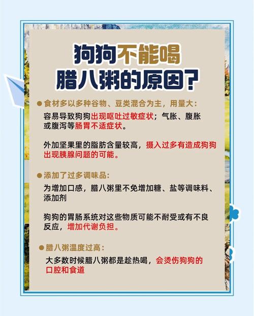 柯基能吃八宝粥吗?