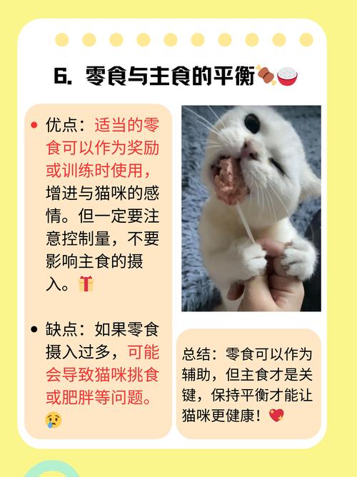 猫咪冬天吃的少