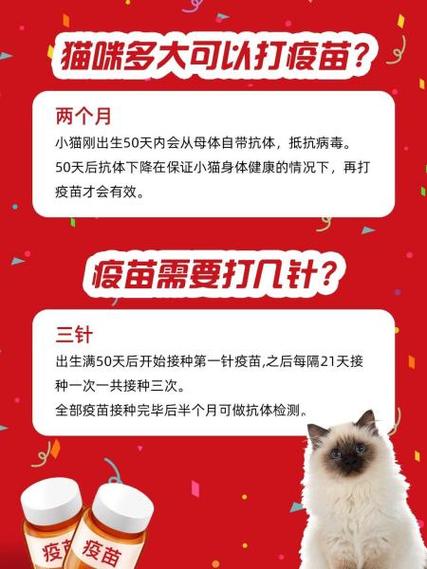 新手养猫最全猫咪养护指南