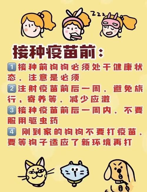 猫咪打疫苗前后要注意什么?
