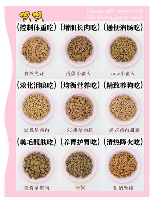 怎样给小狗挑选合适的狗粮呢?有什么推荐的?