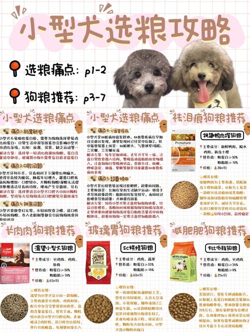 冠能狗粮怎么样