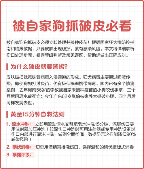 狗狗脸颊破了