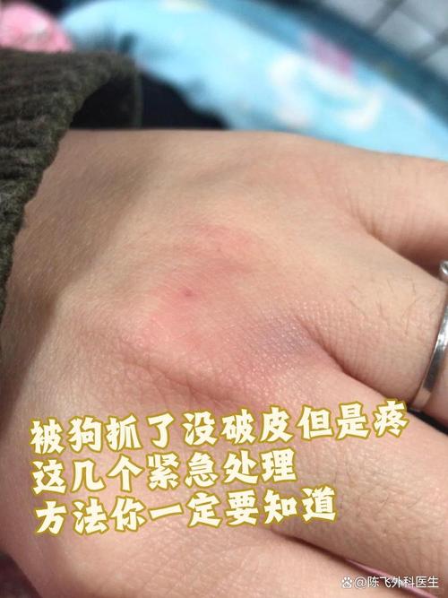 狗狗挠脸伤口一般是竖着还是横着