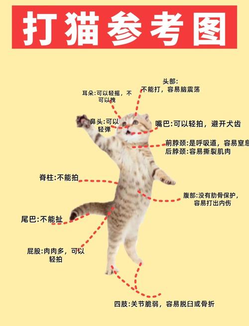 猫早上喜欢叫,通过打它的方式让它不要叫可取吗?