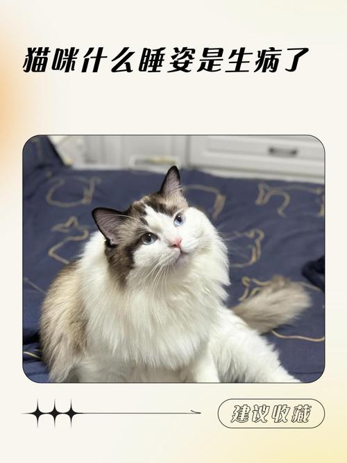 猫咪什么睡姿是生病了