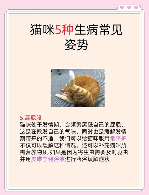 猫咪不舒服的睡姿