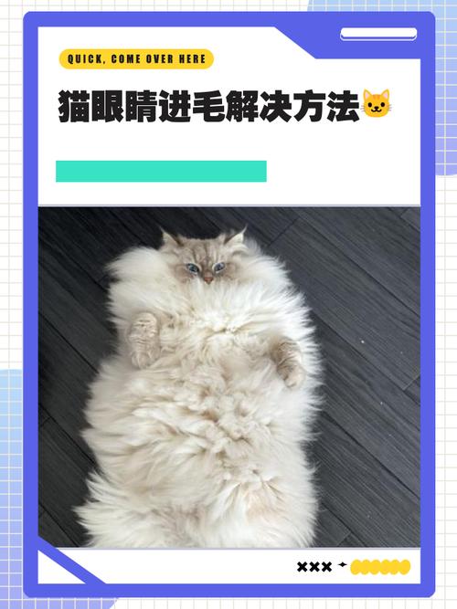 猫眼睛里有毛用不用管