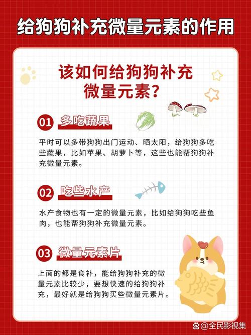 狗狗吃微量元素的作用