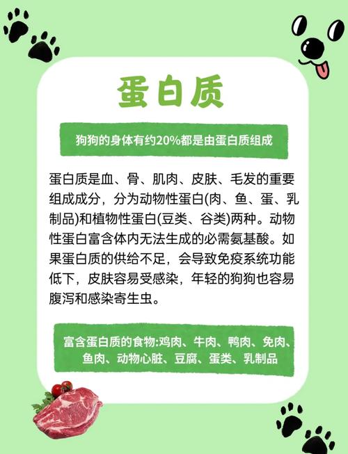 狗狗需要补充微量元素的症状!