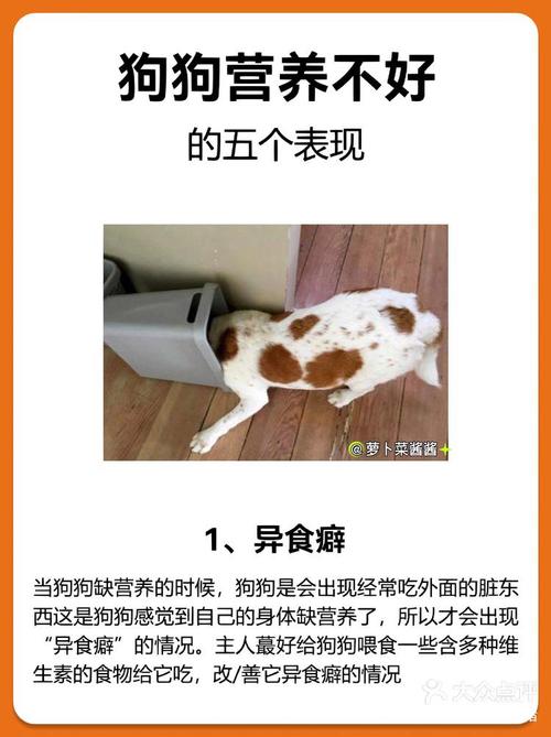 狗狗吃微量元素还需要吃钙片吗