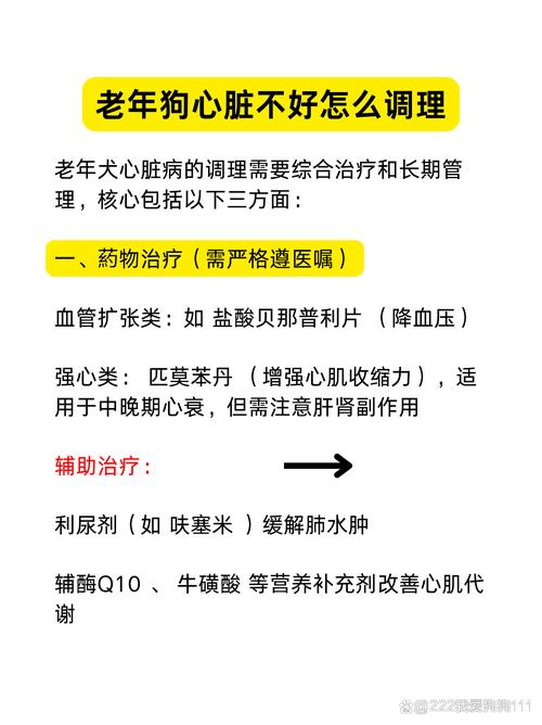 老龄狗狗心脏病的症状
