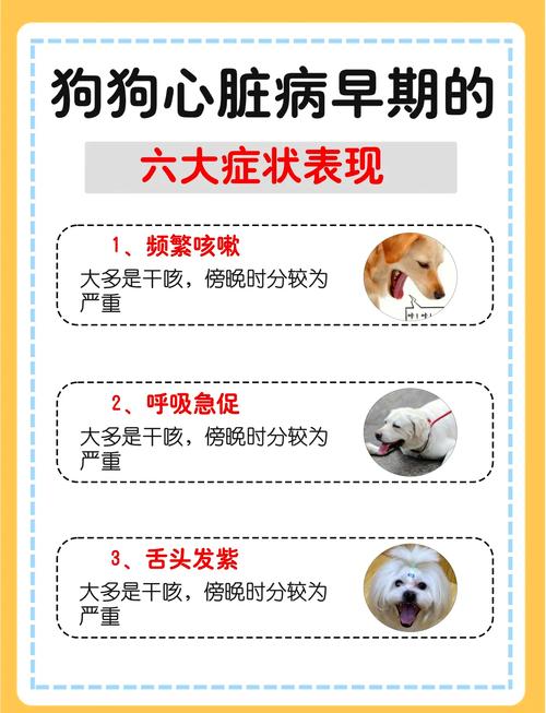 狗狗心脏病的症状