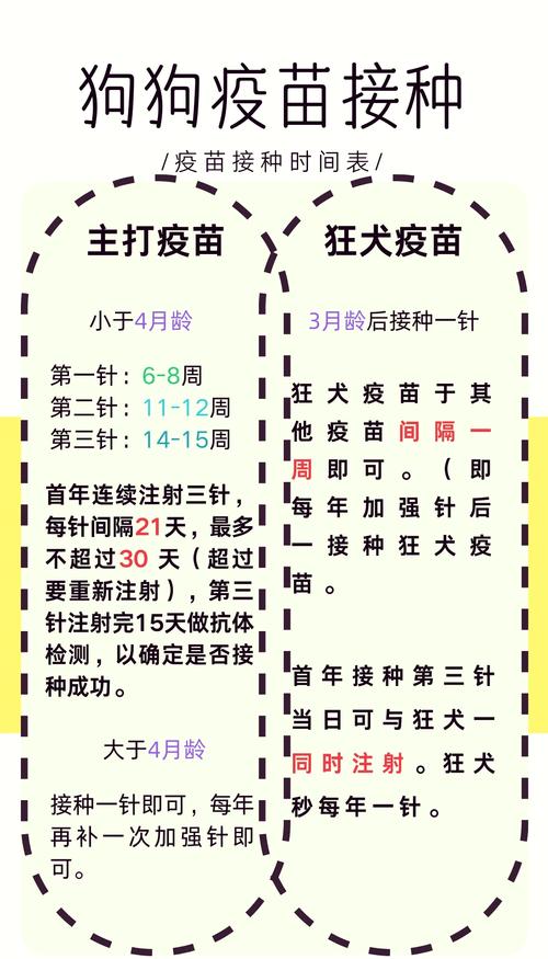 狗狗打完狂犬疫苗后多久产生抗体?