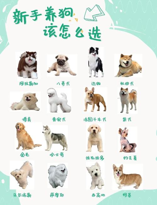 狗的寿命一般多长