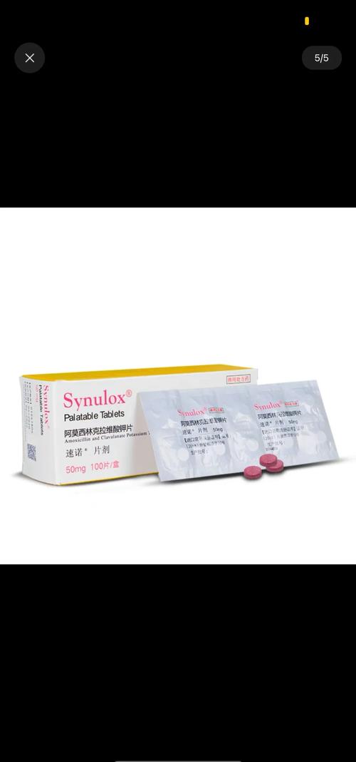 猫咪呼吸道感染吃什么药(猫咪呼吸道疾病吃什么药)