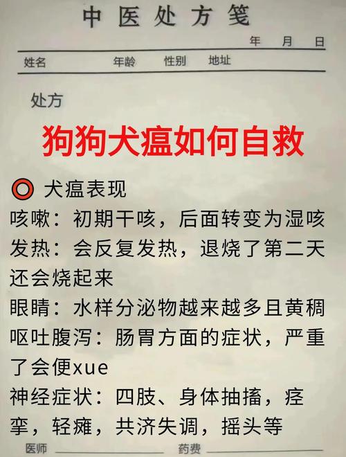 狗狗得了犬瘟(狗瘟)怎么办