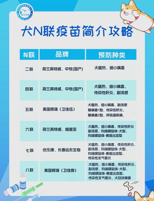 新手养狗需知|你想知道的都在这里1.