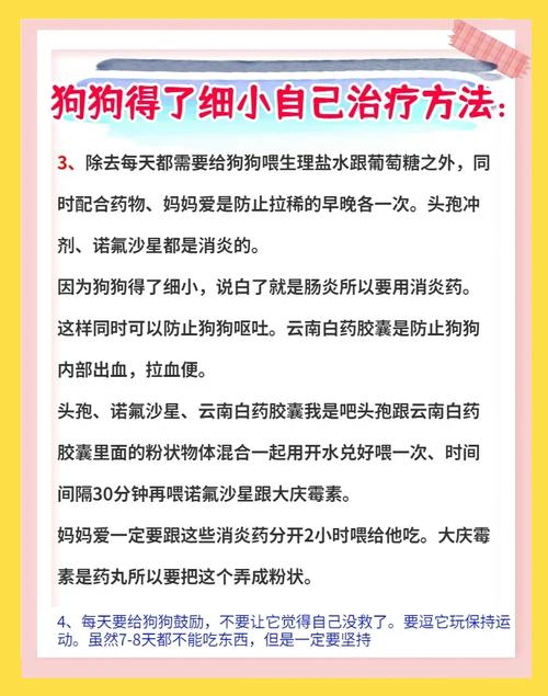 狗狗得了细小病毒能自愈吗