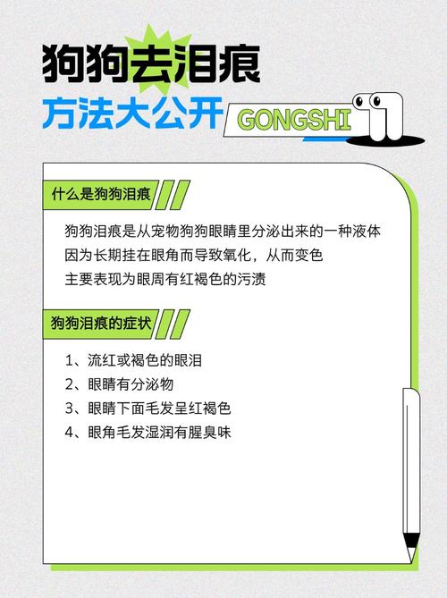 狗狗怎样去泪痕