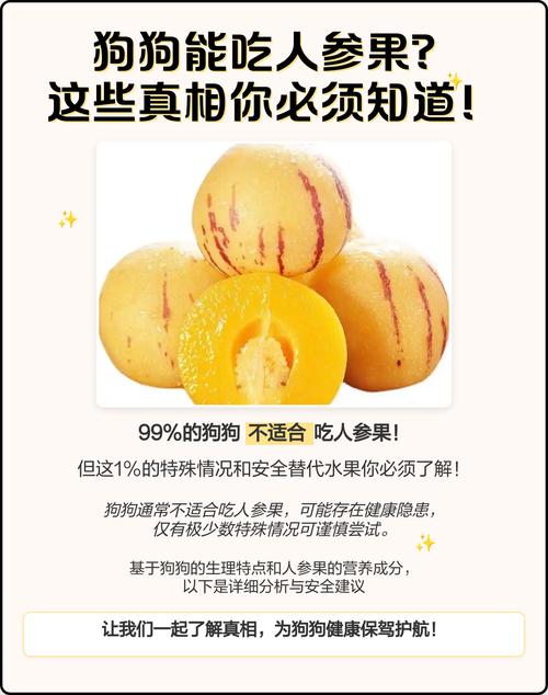 狗狗可以吃人参果吗