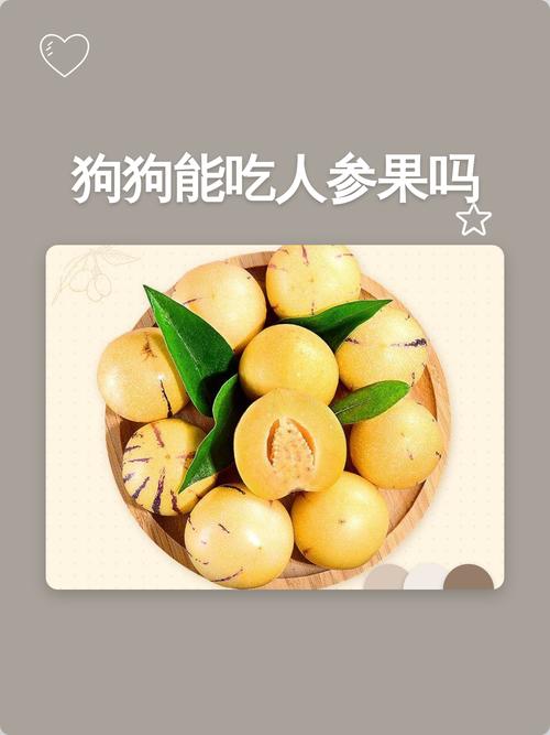 为什么狗狗不能吃人参果