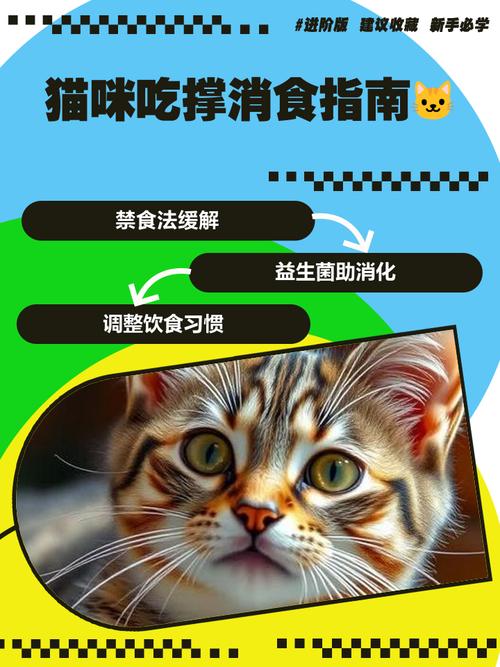 猫咪吃撑了怎么办?猫咪吃多了有什么症状?