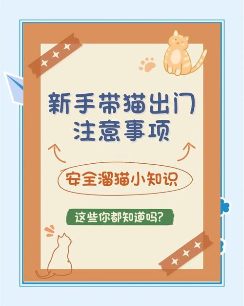 用袋子装着猫咪出门可以吗?需要注意些什么?
