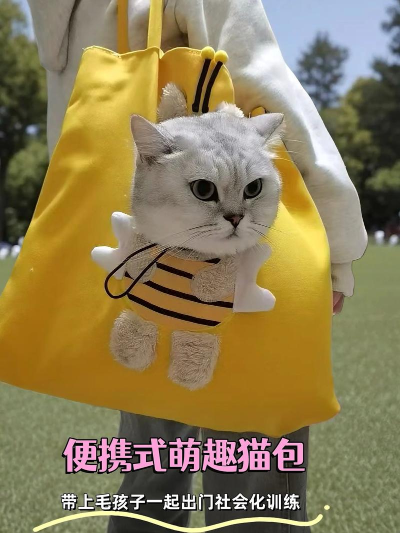 开车带猫咪长途注意事项