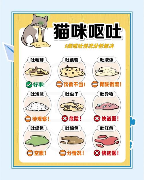 给猫咪催吐的方法(猫怎么催吐又快又有效)