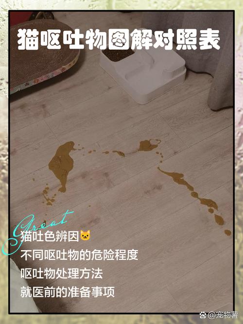 猫咪吃了塑料怎样才算吐干净如何快速催吐