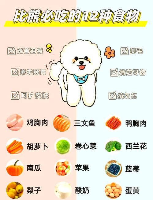 狗狗应该吃什么样的食物