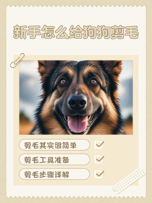 小狗狗三个月剃胎毛吗?