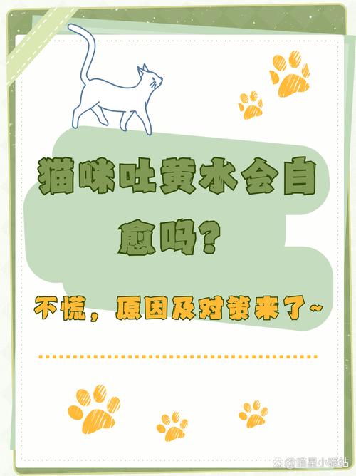 猫呕吐黄水怎么办,猫咪吐黄水能自己好吗