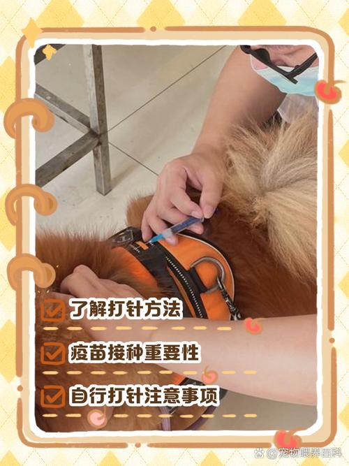 狗狗打疫苗在哪里打?
