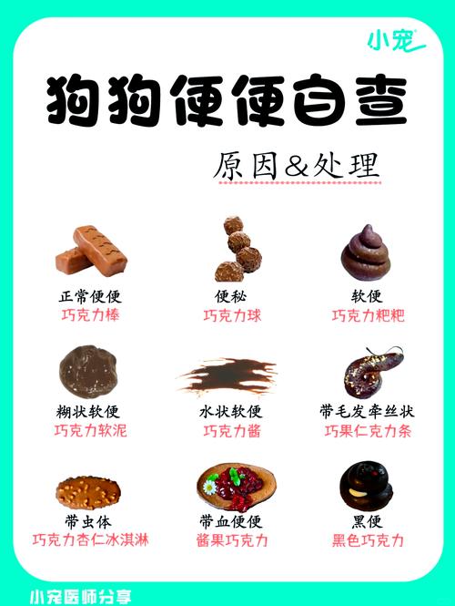 狗狗吃完东西多久会大便?