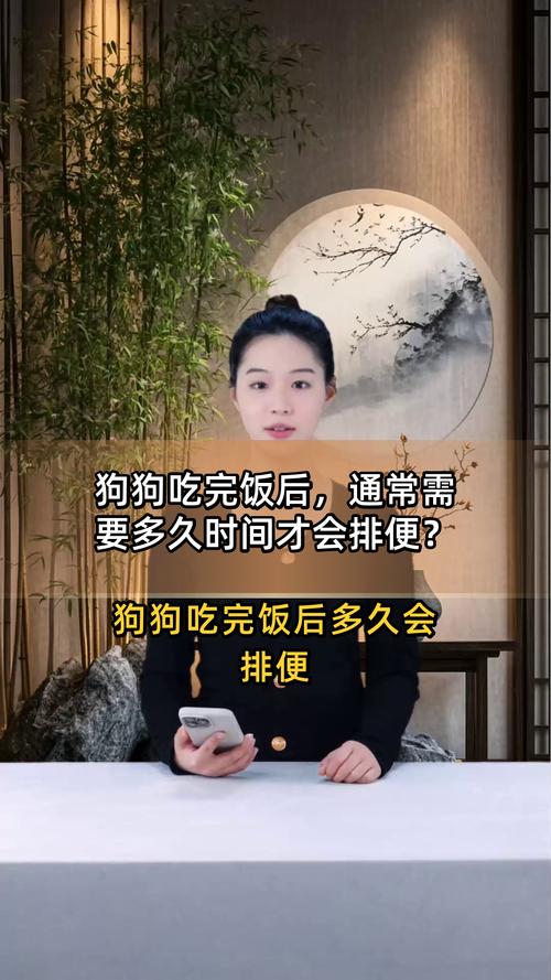 狗狗正常吃完饭多久排便