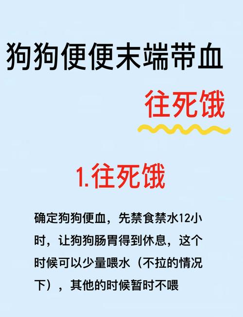 狗狗晚上吃完饭遛完之后过几个小时还拉屎