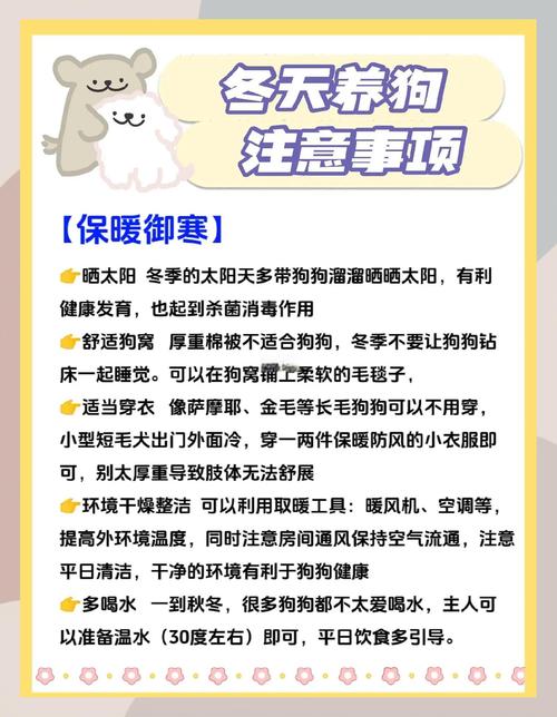 狗子过冬小常识,学会了不踩雷!