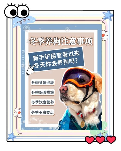 狗狗冬天怕冷吗?狗狗冬季御寒指南