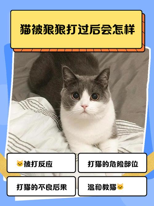 打了猫咪,它会恨主人吗
