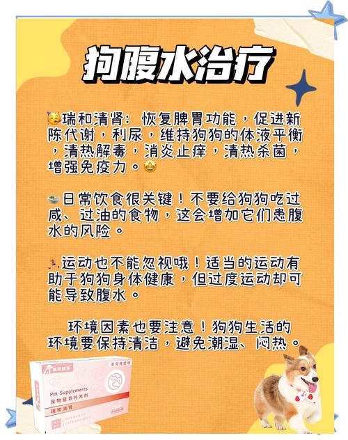 狗腹水能治愈吗