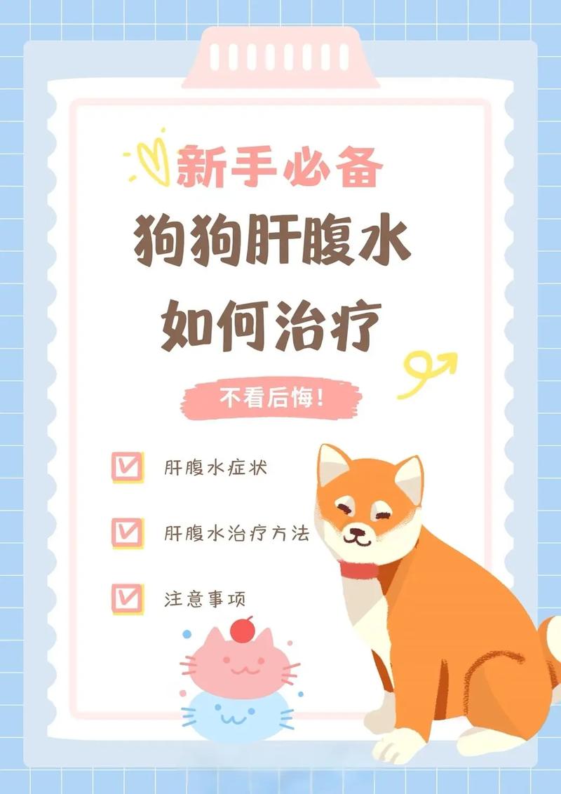 狗狗腹水最怕三个药