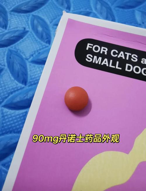 狗狗腹水的症状,我们应该怎么做?