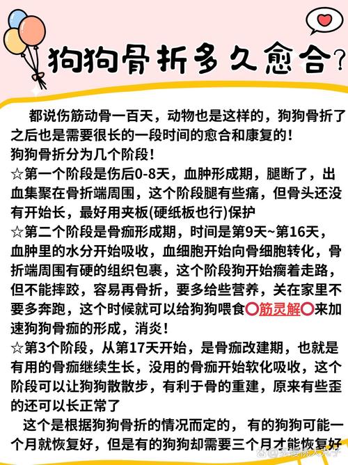狗狗骨折后多长时间能走路啊?