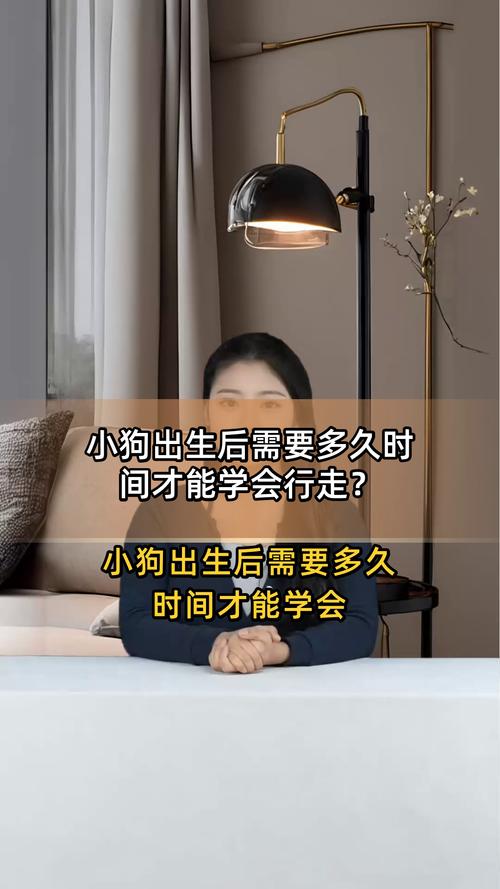 狗狗多少天会走路