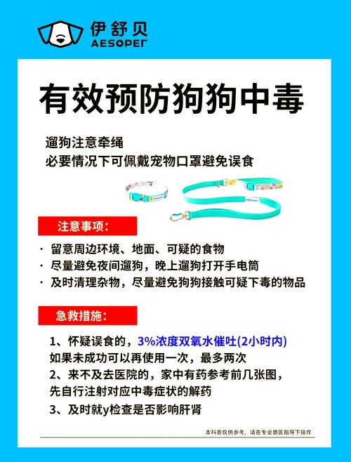 狗狗中毒后好转症状有哪些