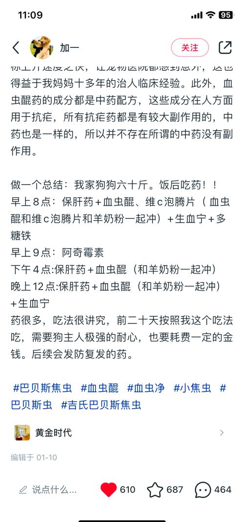 狗狗焦虫病晚期的症状
